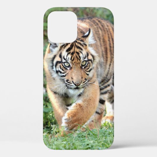 写真，動物，虎，ティグレ。ケース – メイトiPhon Case-Mate iPhoneケース (裏面)