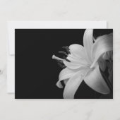 写真 卒業式 招待状 カード (裏面)