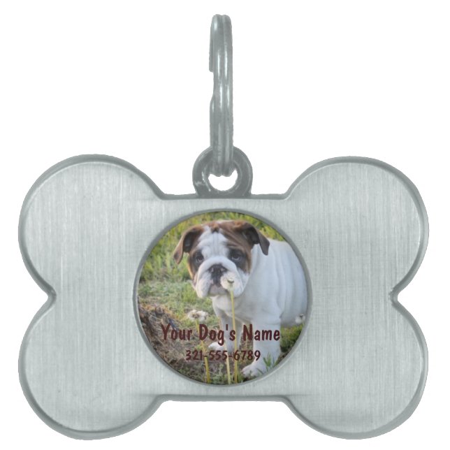 写真、名前、電話番号が付いているカスタムなペット用名札 ペットネームタグ (正面)