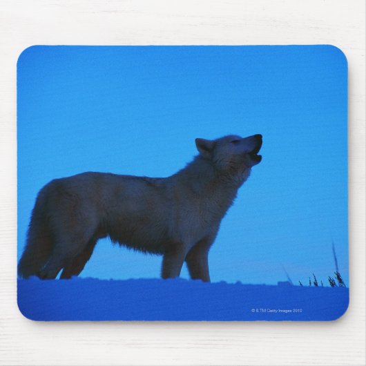写真、白い狼の夜のハウリング、色、高 マウスパッド (正面)