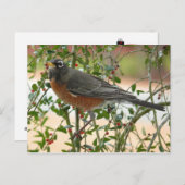 写真:鳥 – ポストカード (正面/裏面)