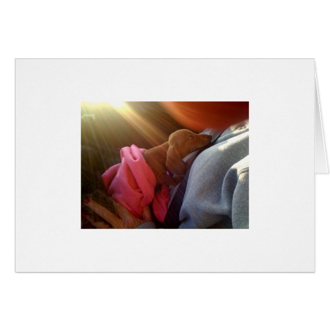 写真[1] (正面横)