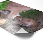 写真 – caracal フォトプリント            (角)