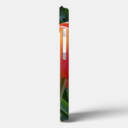 写真 Case-Mate iPhoneケース (裏面 / 左)