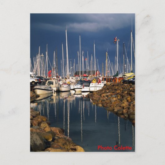 写真: CHG Samsøの島デンマーク2009年の写真コレット ポストカード (正面)