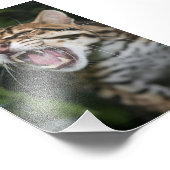 写真 – ocelot フォトプリント            (角)