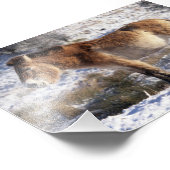 写真 – Przewallski horse フォトプリント (角)