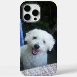 写真Apple iPhone 16 Pro Maxケース