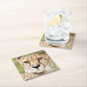 写真guepard,猫,動物。 スクエアペーパーコースター (インサイチュ)