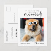 写真My Humans Getting Marshed The Date 案内ポストカード (正面/裏面)