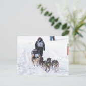 写真Perfect 2009 UP 200ポストカード ポストカード (スタンド正面)