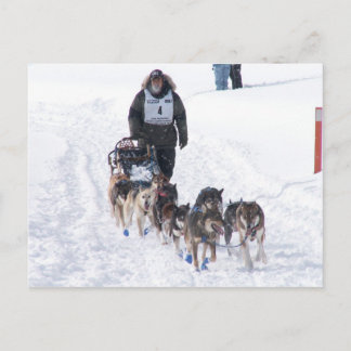 写真Perfect 2009 UP 200ポストカード ポストカード