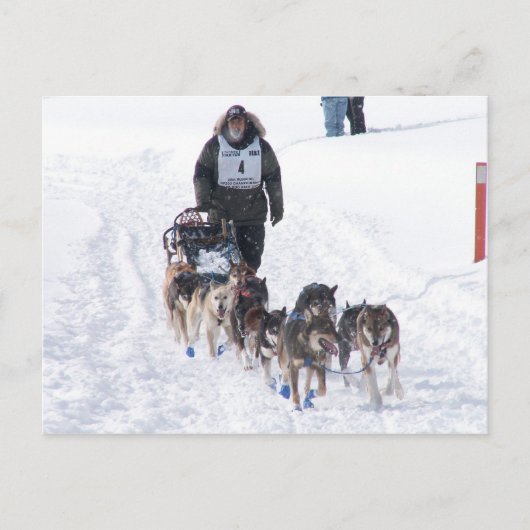 写真Perfect 2009 UP 200ポストカード ポストカード (正面)