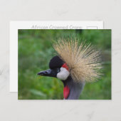 冠クレーン ポストカード (正面/裏面)