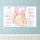 冠動脈循環図ヒトハート キャンバスプリント (インサイチュ (ウッドフロア))