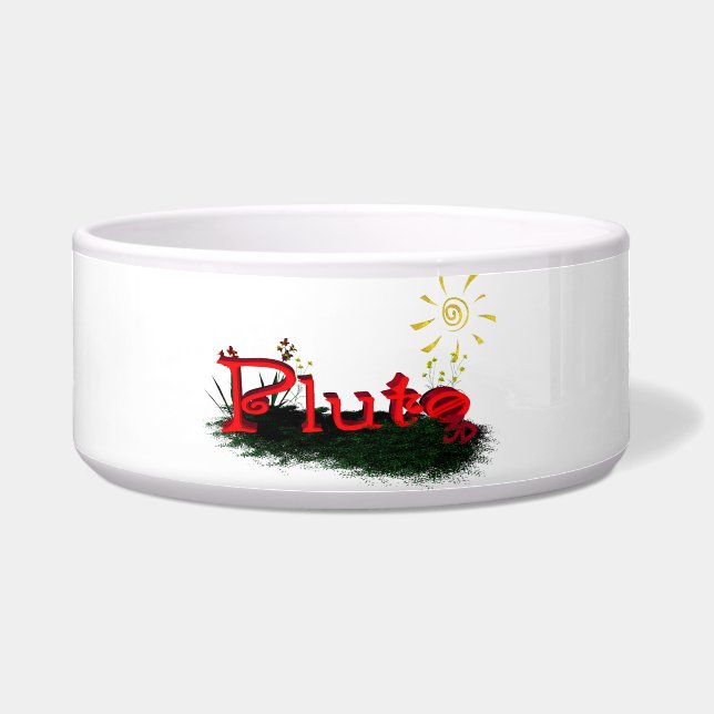 冥王星のお椀 ボウル (正面)