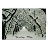 冬とクリスマスの願い (正面横)