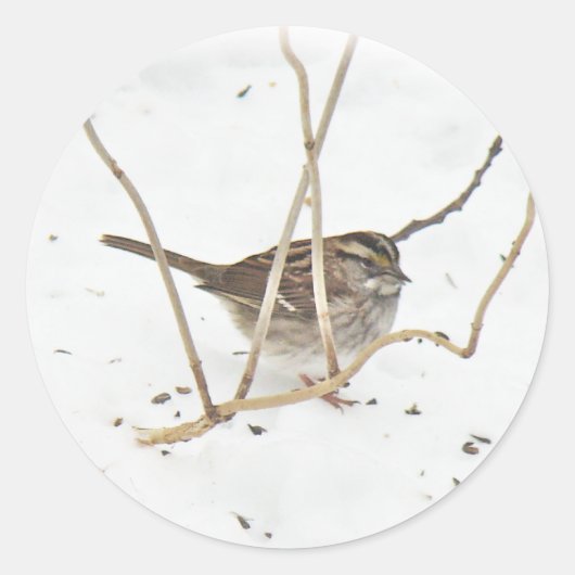 冬とスズメ ラウンドシール (正面)