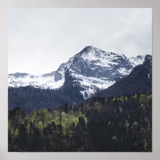 冬と春 – 緑の木と雪の山 ポスター (正面)
