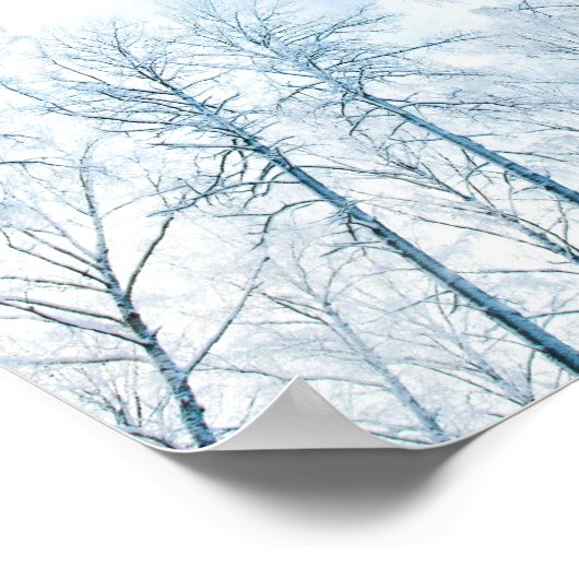 冬と空の木 ポスター (角)