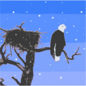 冬にハゲのワシ – オリジナル野生動物アート シール (正面)