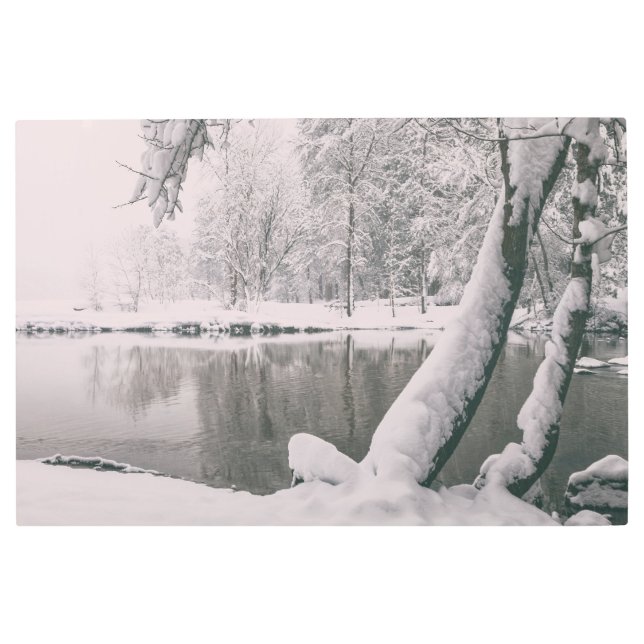 冬にメルセド メタルプリント (正面)