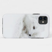 冬に丸まったホッキョクギツネ Case-Mate iPhoneケース (裏面(横))