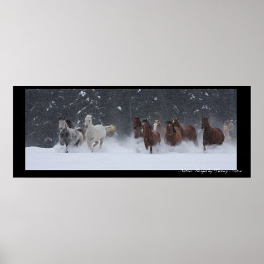 冬に丸まる ポスター (正面)