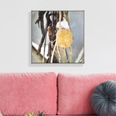 冬に乾燥した野生のキュウリつる植物の種鞘 キャンバスプリント (インサイチュ (リビング))