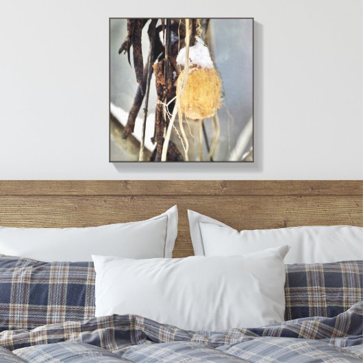 冬に乾燥した野生のキュウリつる植物の種鞘 キャンバスプリント (インサイチュ (寝室))
