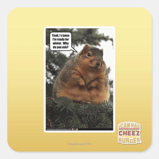 冬に備えて スクエアシール (正面)