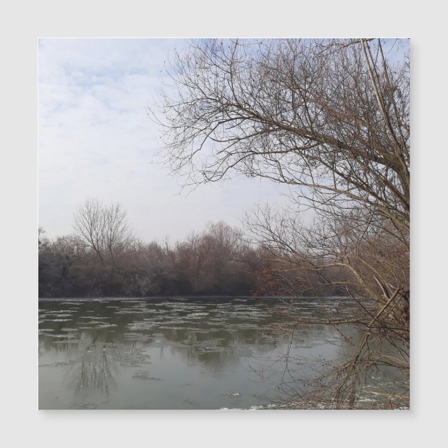 冬に川沿いを生きる (正面)