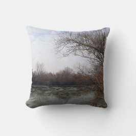 冬に川沿いを生きる クッション