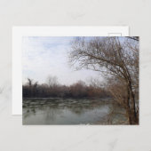 冬に川沿いを生きる ポストカード (正面/裏面)