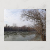 冬に川沿いを生きる ポストカード (正面)