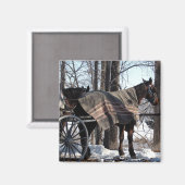 冬に待っているアミッシュ馬 マグネット (正面/裏面)