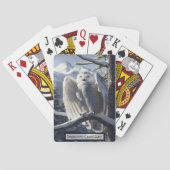 冬に止まるフクロウ トランプ (裏面)