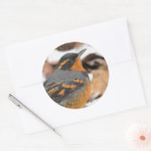 冬に素晴らしの様々なツグミの鳴鳥 ラウンドシール (封筒)