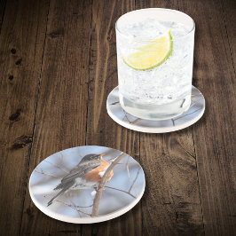 冬に雪の枝に座る可愛いアメリカンロビン コースター