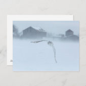 冬に飛ぶ雪ふくろう ポストカード (正面/裏面)