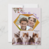 冬のお祝いと子猫 案内状 (正面)