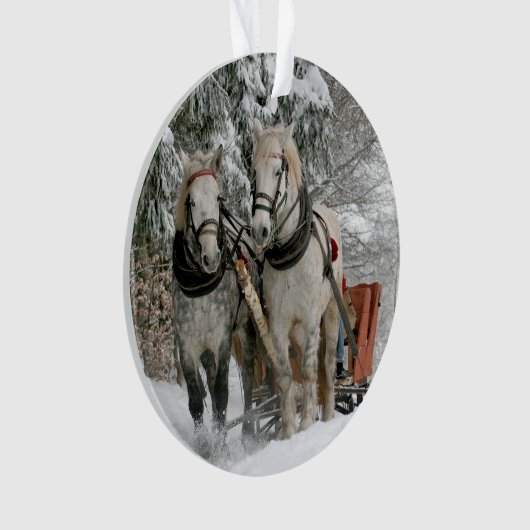 冬のそり乗りカラーイメージ オーナメント (正面)