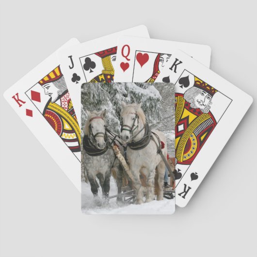 冬のそり乗りカラーイメージ トランプ (裏面)