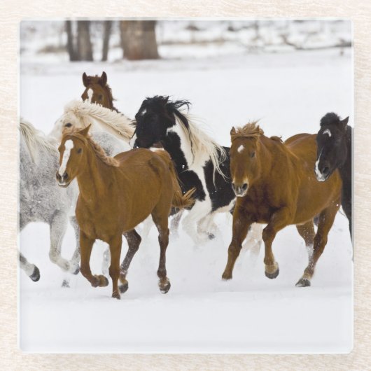 冬のの走馬の景色 ガラスコースター (正面)