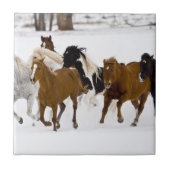 冬のの走馬の景色 タイル (正面)