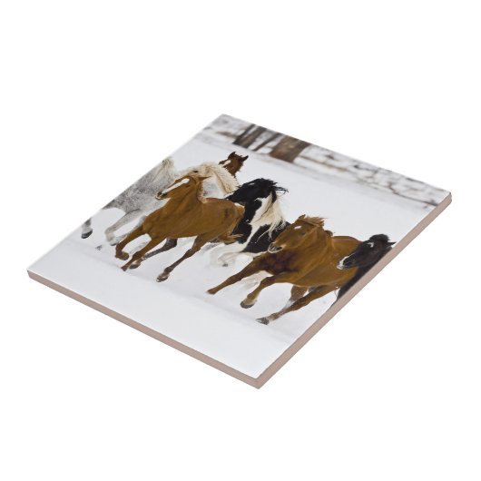 冬のの走馬の景色 タイル (側面)