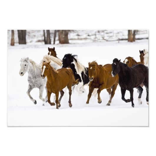 冬のの走馬の景色 フォトプリント (正面)