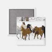 冬のの走馬の景色 マグネット (正面/裏面)