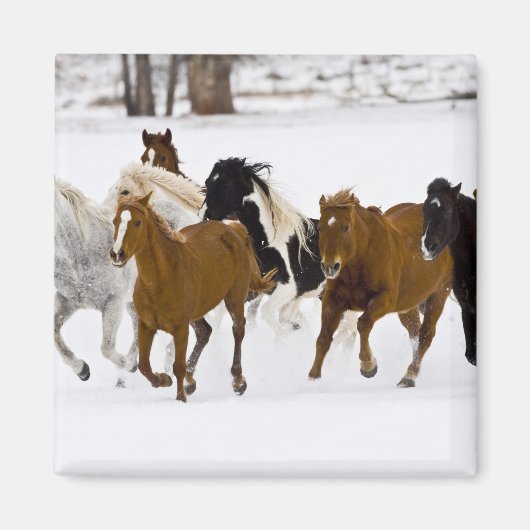 冬のの走馬の景色 マグネット (正面)