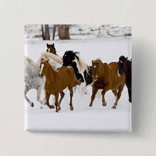 冬のの走馬の景色 缶バッジ (正面)